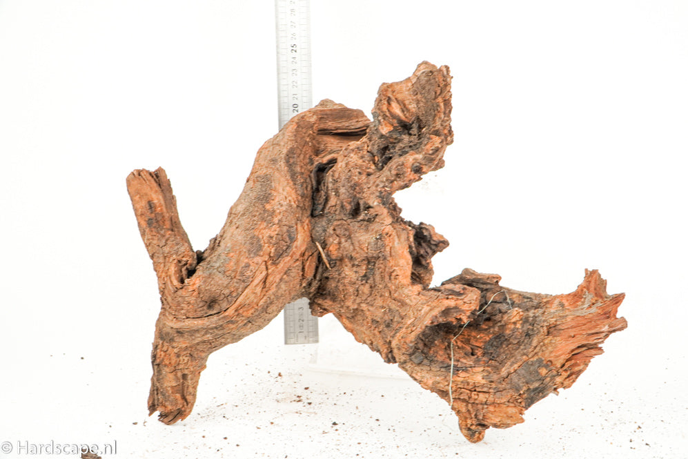 Driftwood L157 - Hardscape.nl