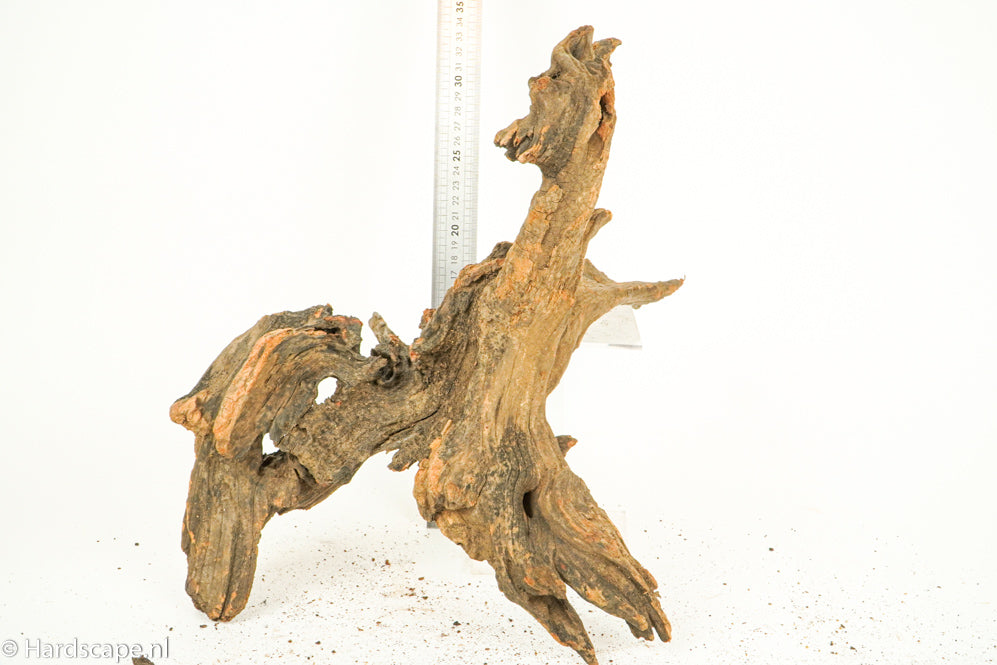 Driftwood L158 - Hardscape.nl