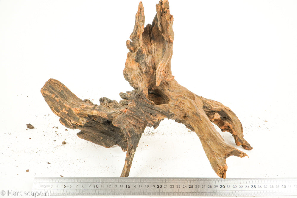 Driftwood L158 - Hardscape.nl