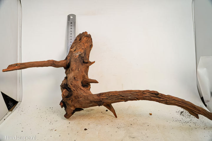 Driftwood L161