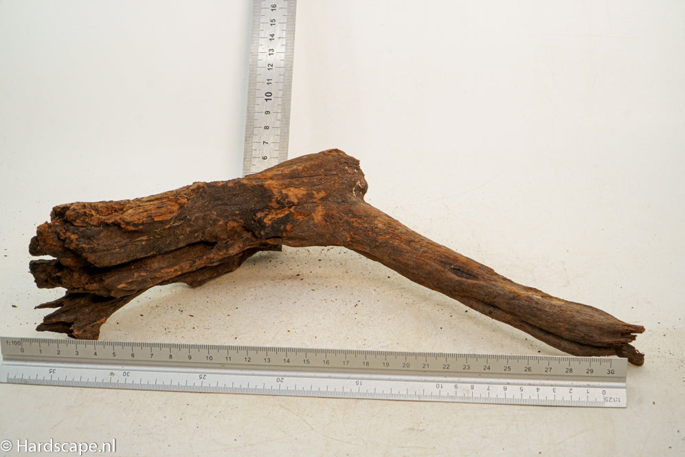 Driftwood M141 - Hardscape.nl