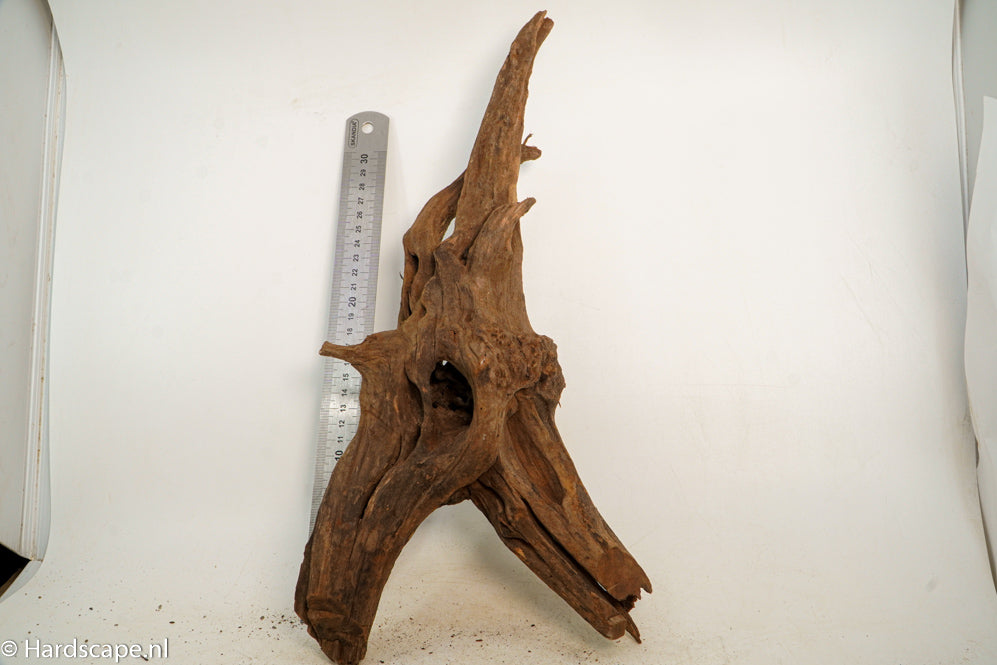 Driftwood M145 - Hardscape.nl