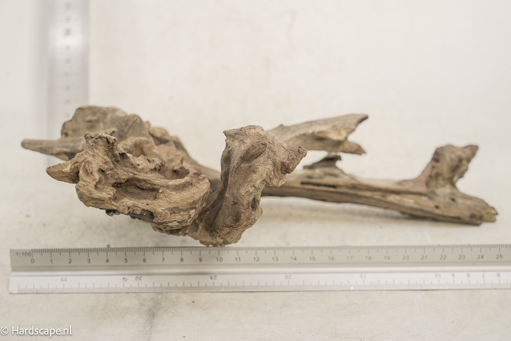 Driftwood M148 - Hardscape.nl