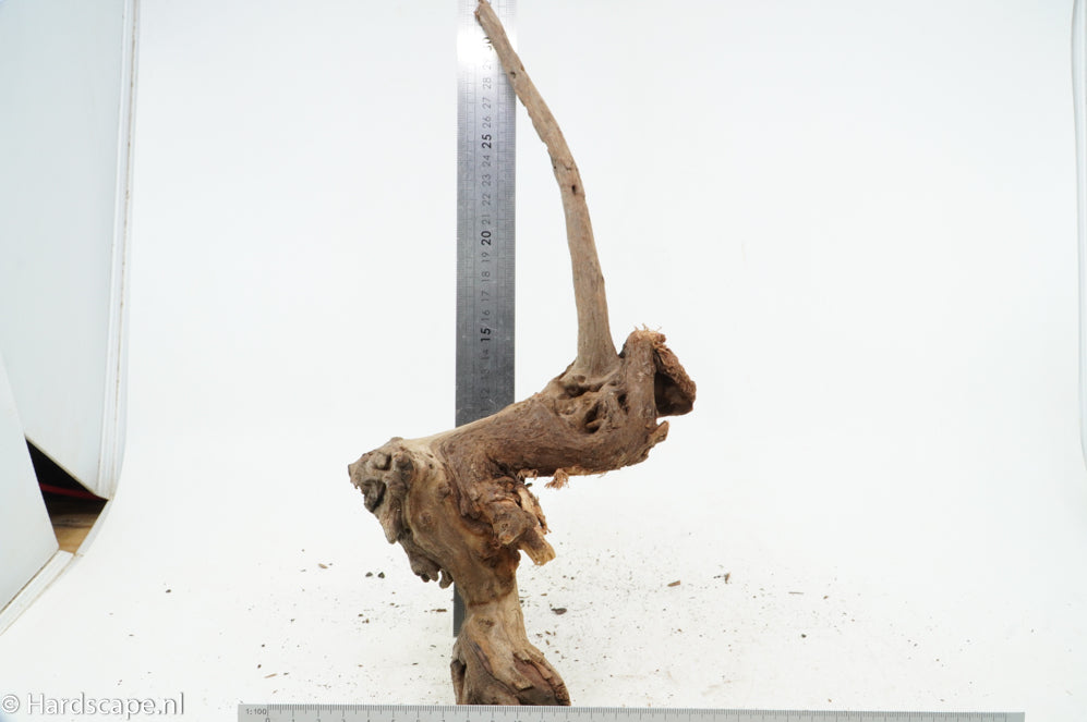 Driftwood S192 - Hardscape.nl