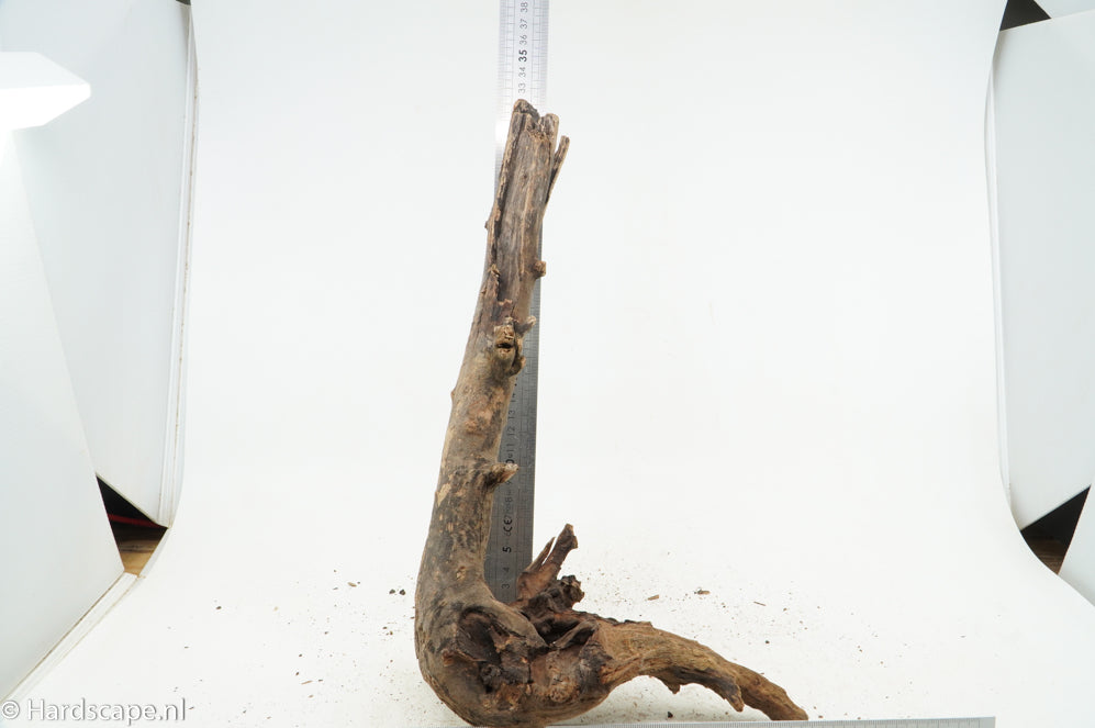 Driftwood S199 - Hardscape.nl