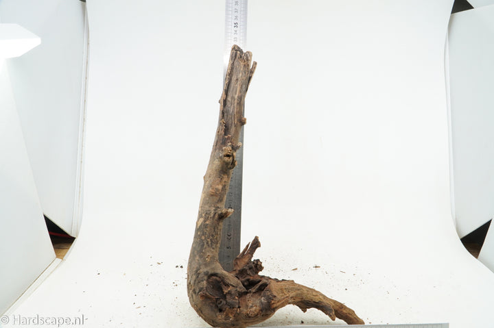 Driftwood S199 - Hardscape.nl