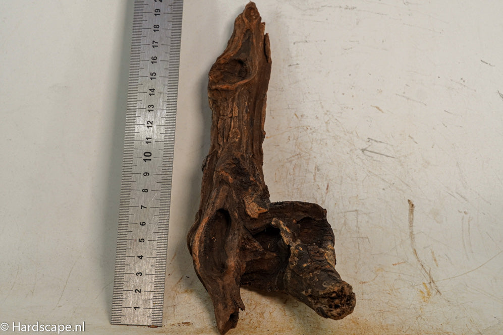 Driftwood S257 - Hardscape.nl