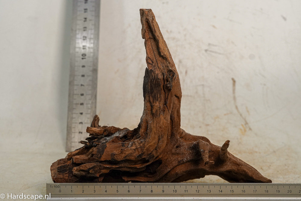 Driftwood S258 - Hardscape.nl