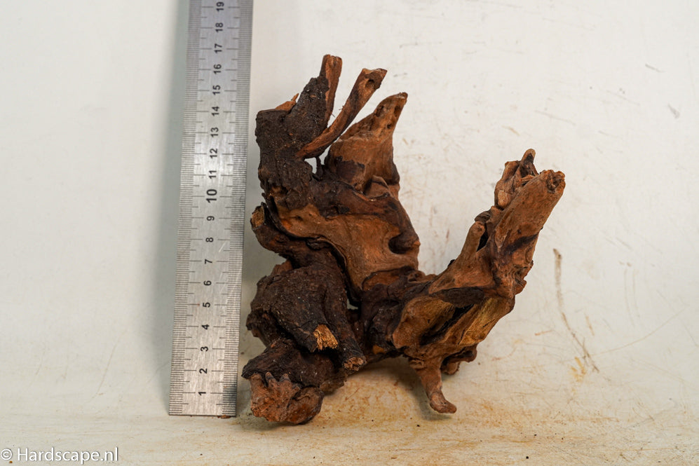 Driftwood S259 - Hardscape.nl