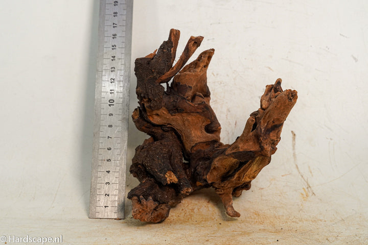 Driftwood S259 - Hardscape.nl