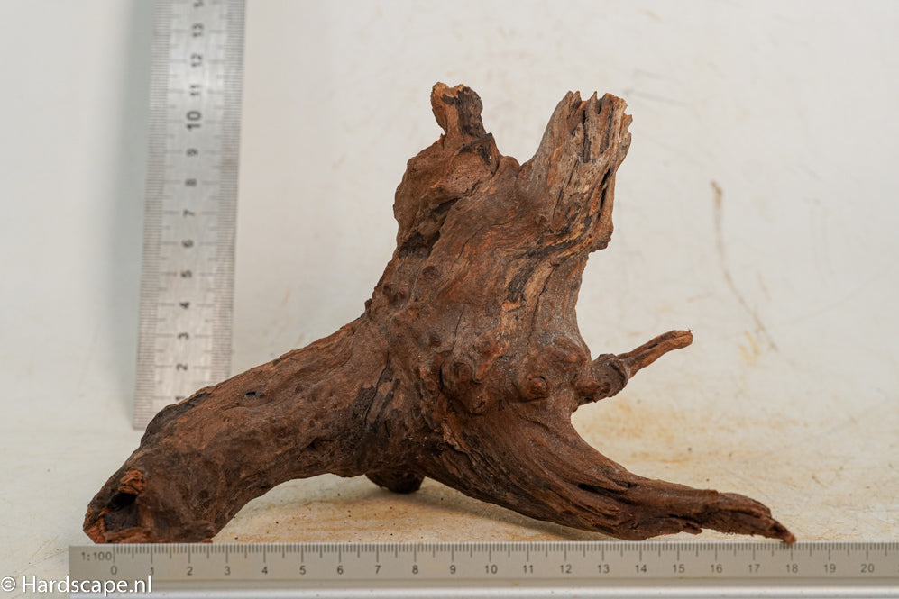 Driftwood S262 - Hardscape.nl