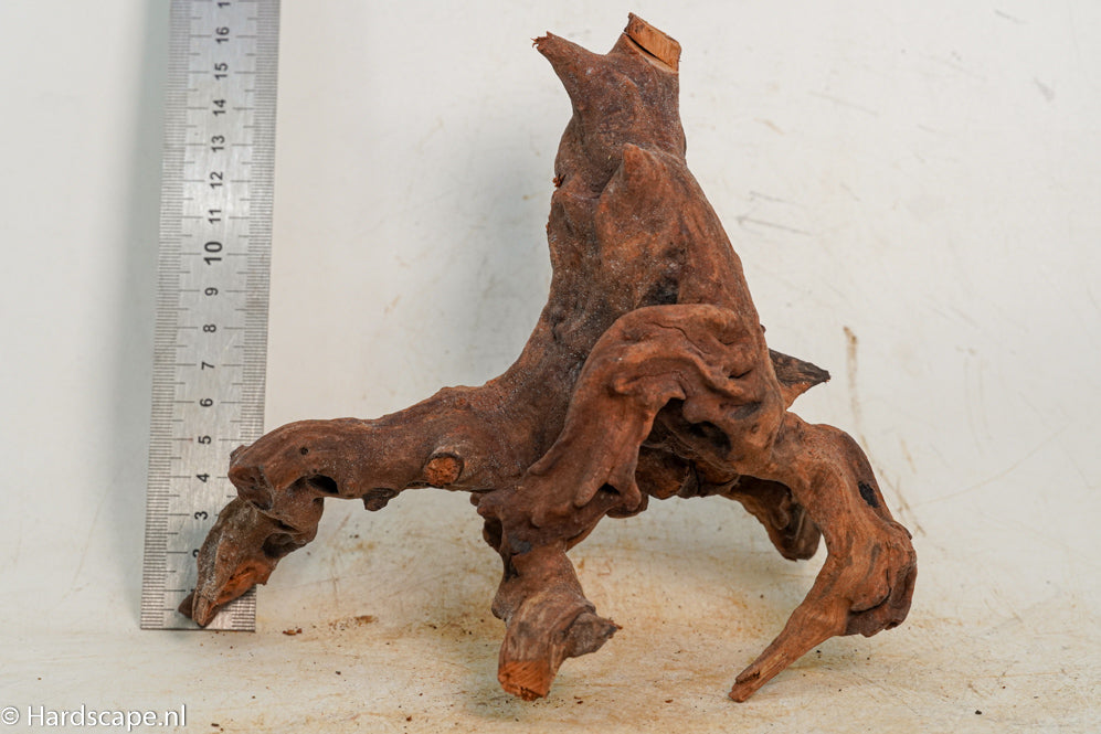 Driftwood S263 - Hardscape.nl