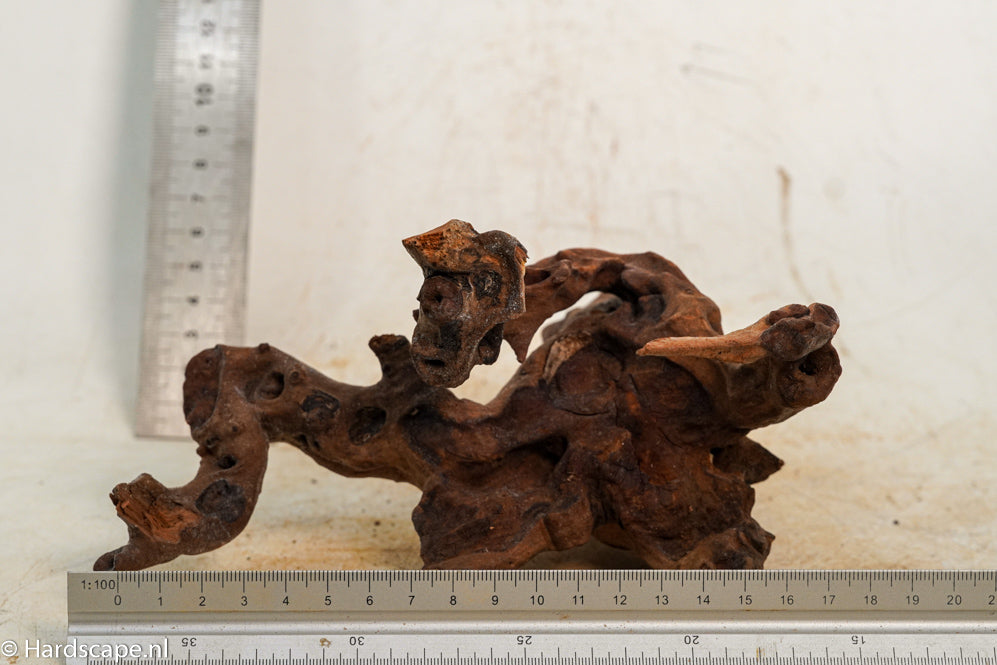 Driftwood S263 - Hardscape.nl