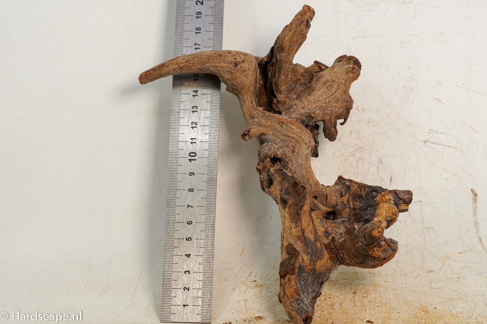 Driftwood S264 - Hardscape.nl