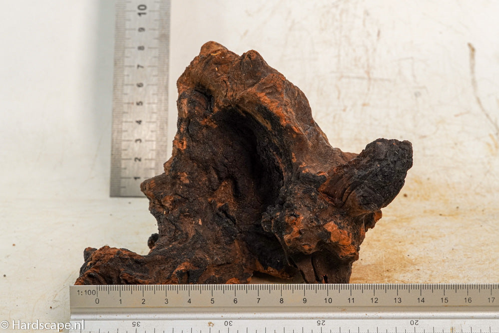 Driftwood S269 - Hardscape.nl