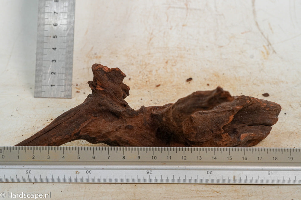 Driftwood S271 - Hardscape.nl