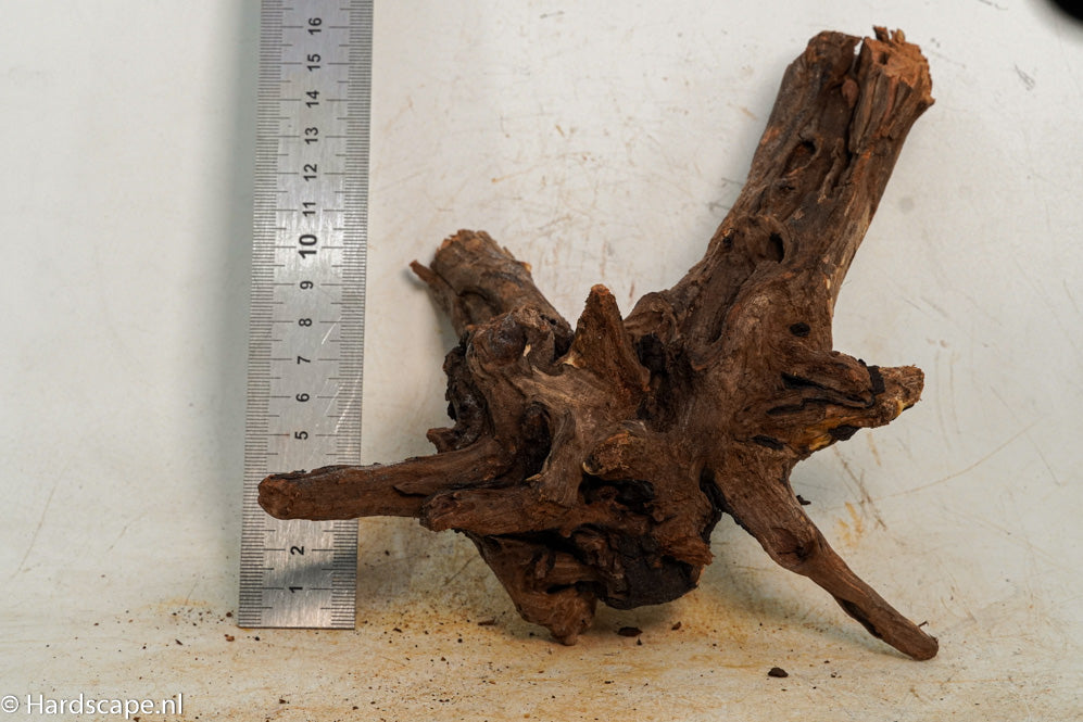 Driftwood S273 - Hardscape.nl