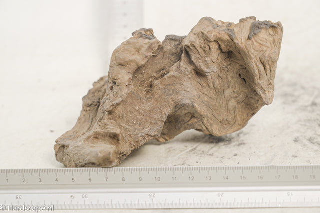 Driftwood S341 - Hardscape.nl