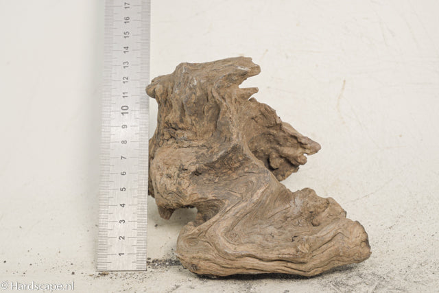 Driftwood S341 - Hardscape.nl