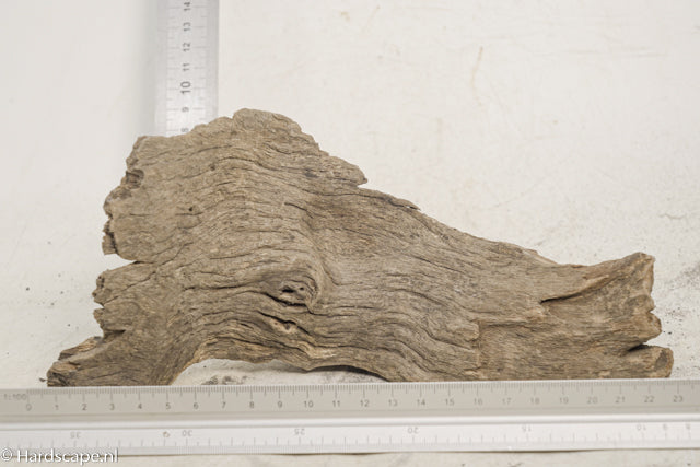 Driftwood S343 - Hardscape.nl