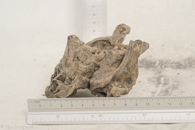 Driftwood S344 - Hardscape.nl