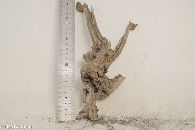 Driftwood S349 - Hardscape.nl