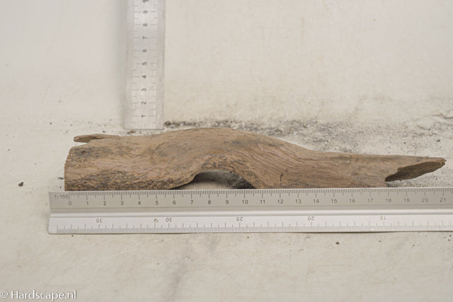 Driftwood S353 - Hardscape.nl