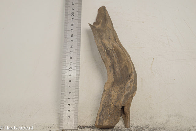 Driftwood S353 - Hardscape.nl