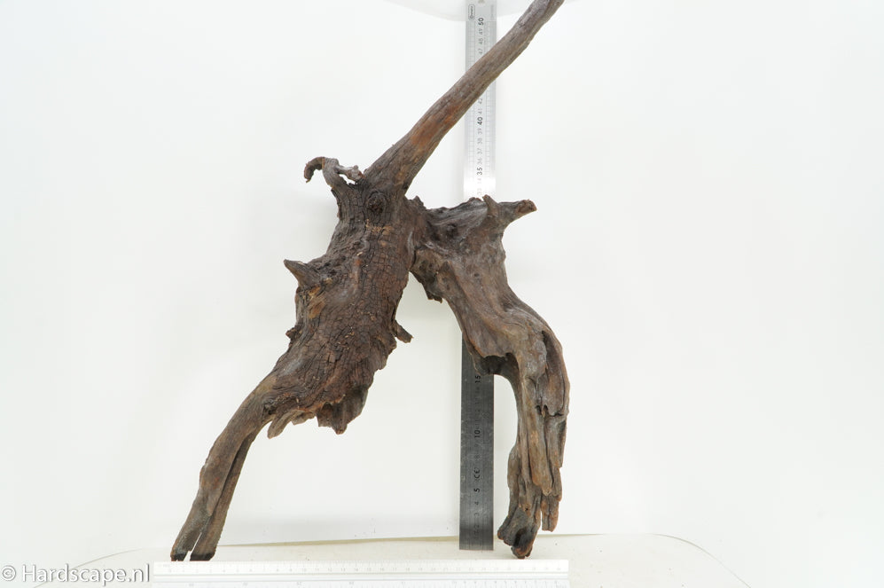 Driftwood XL110 - Hardscape.nl