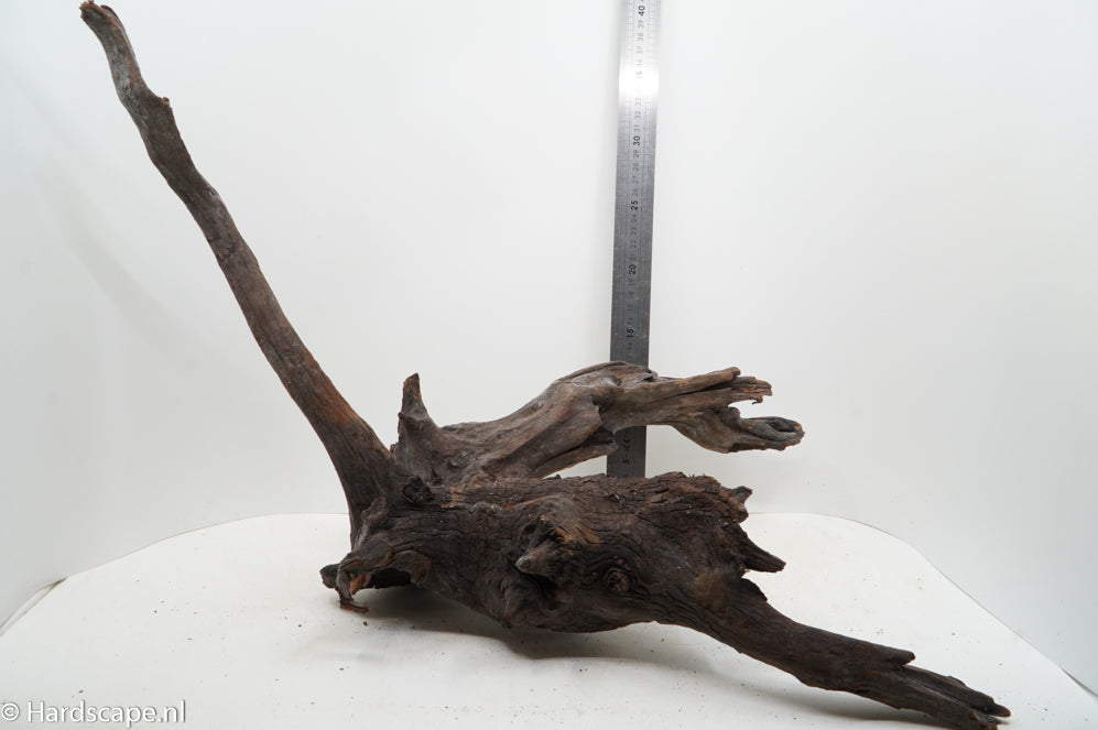Driftwood XL110 - Hardscape.nl