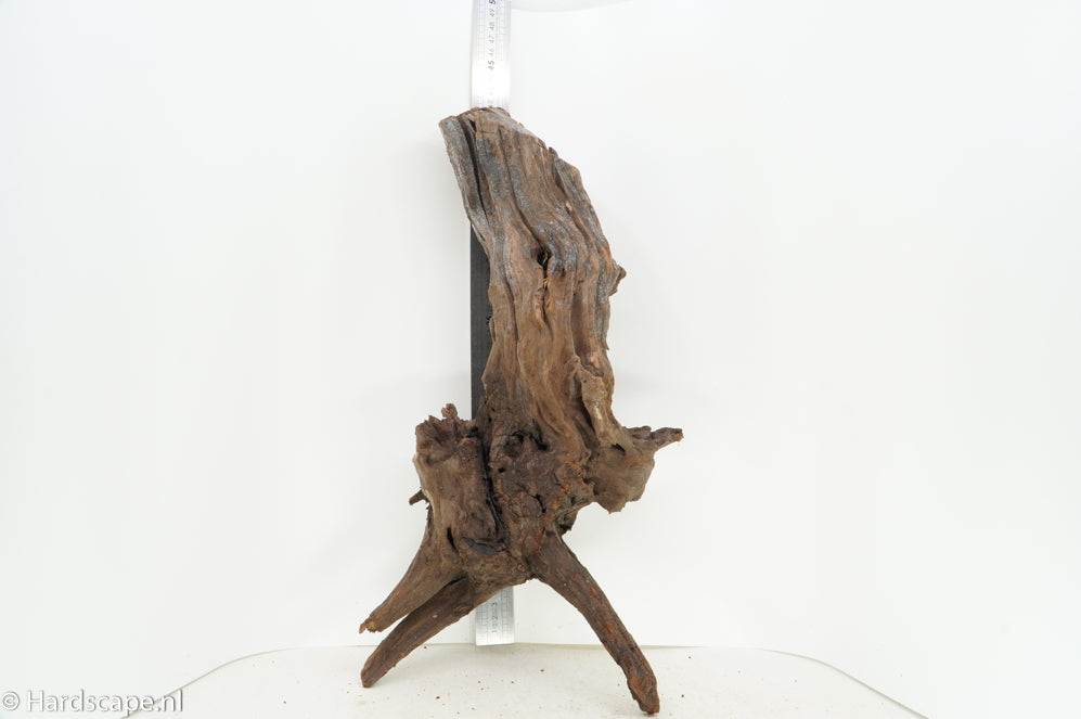 Driftwood XL111 - Hardscape.nl
