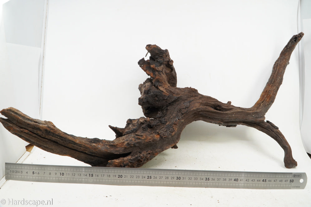 Driftwood XL112 - Hardscape.nl