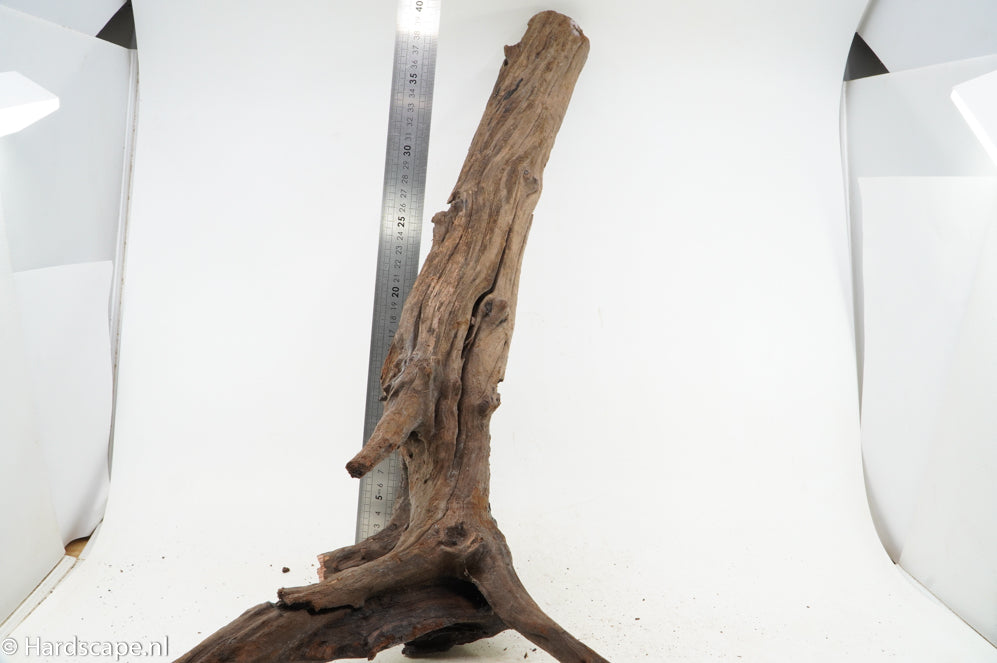 Driftwood XL114 - Hardscape.nl
