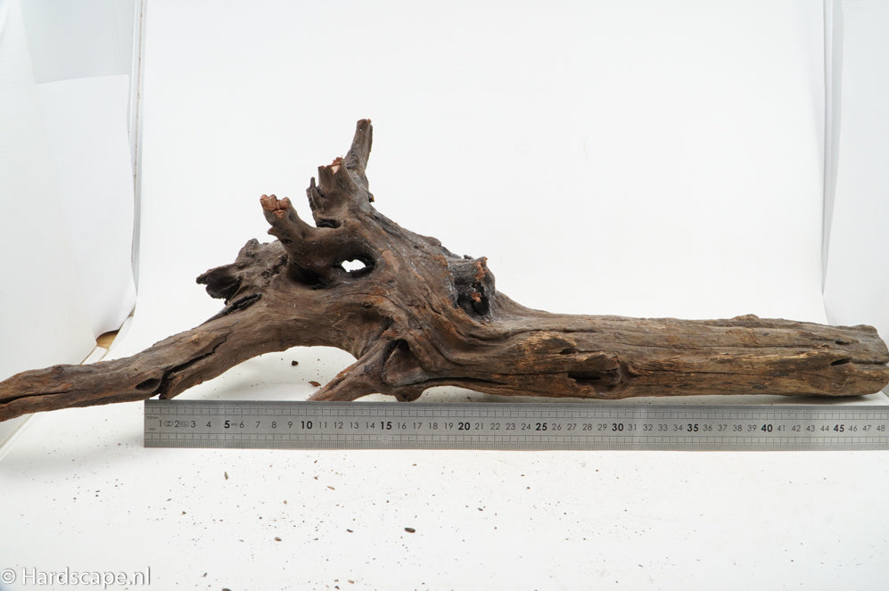 Driftwood XL114 - Hardscape.nl