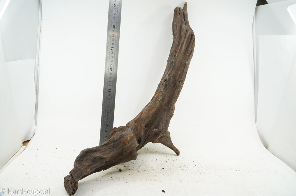 Driftwood XL117 - Hardscape.nl