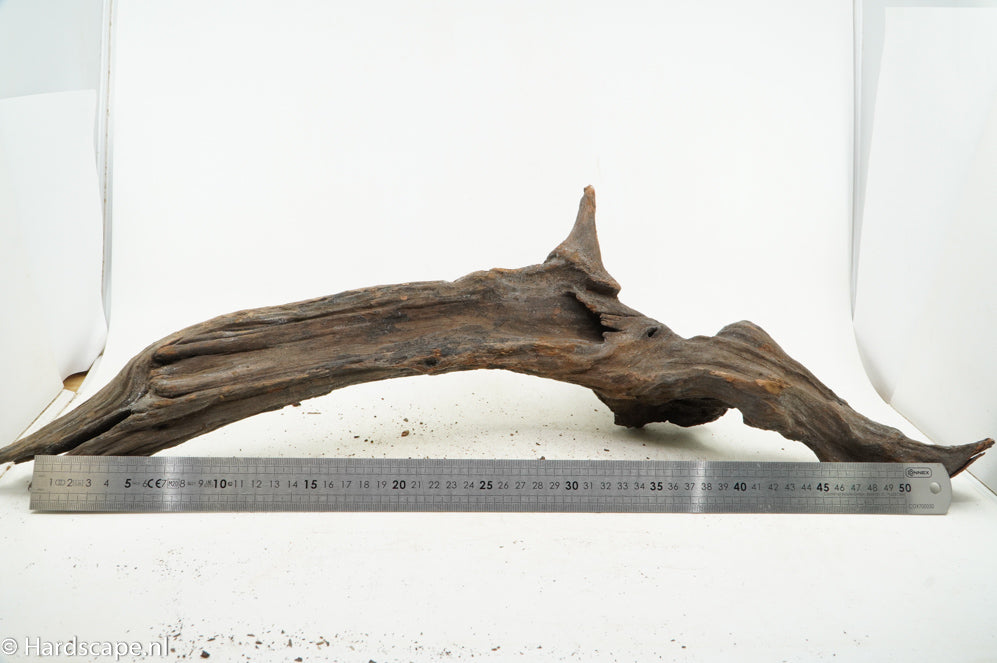 Driftwood XL117 - Hardscape.nl