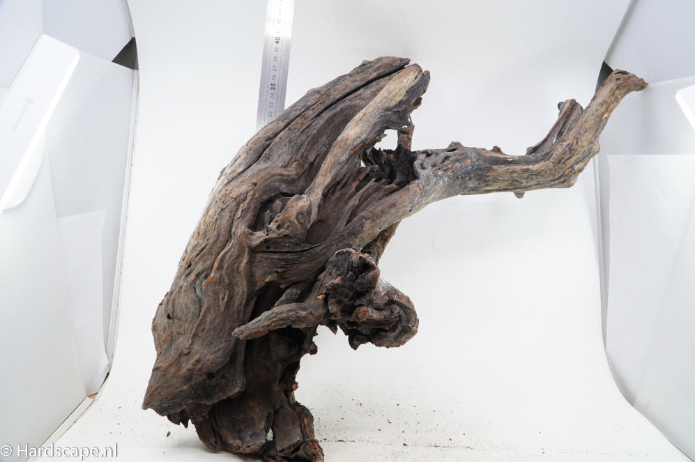 Driftwood XL118 - Hardscape.nl
