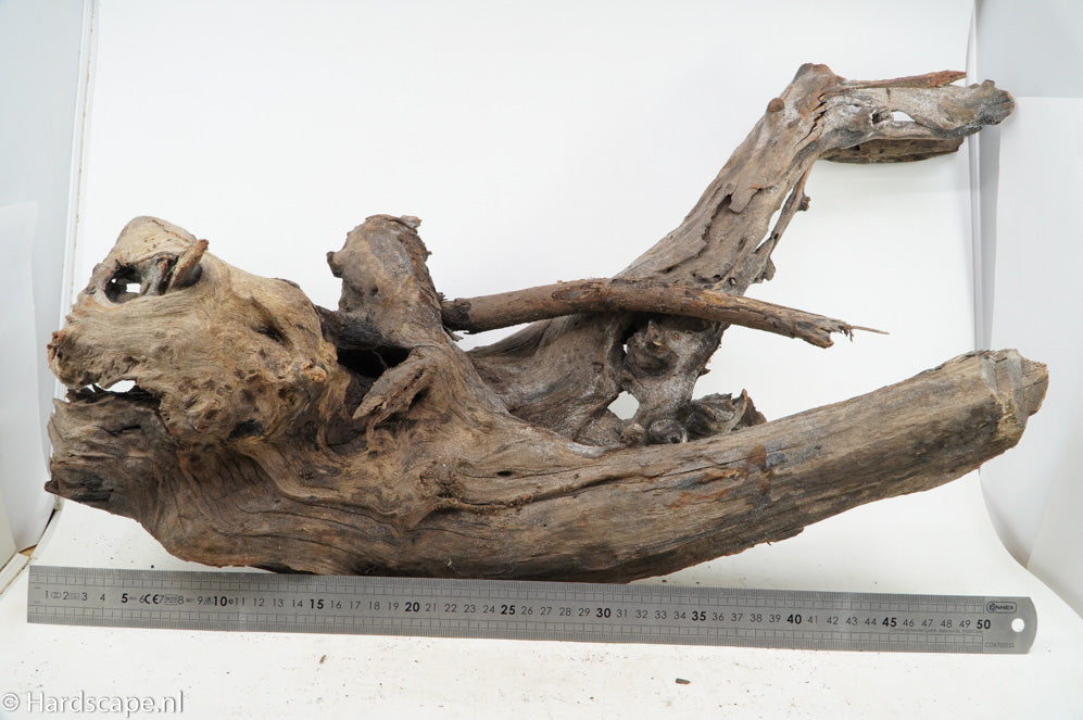 Driftwood XL118 - Hardscape.nl