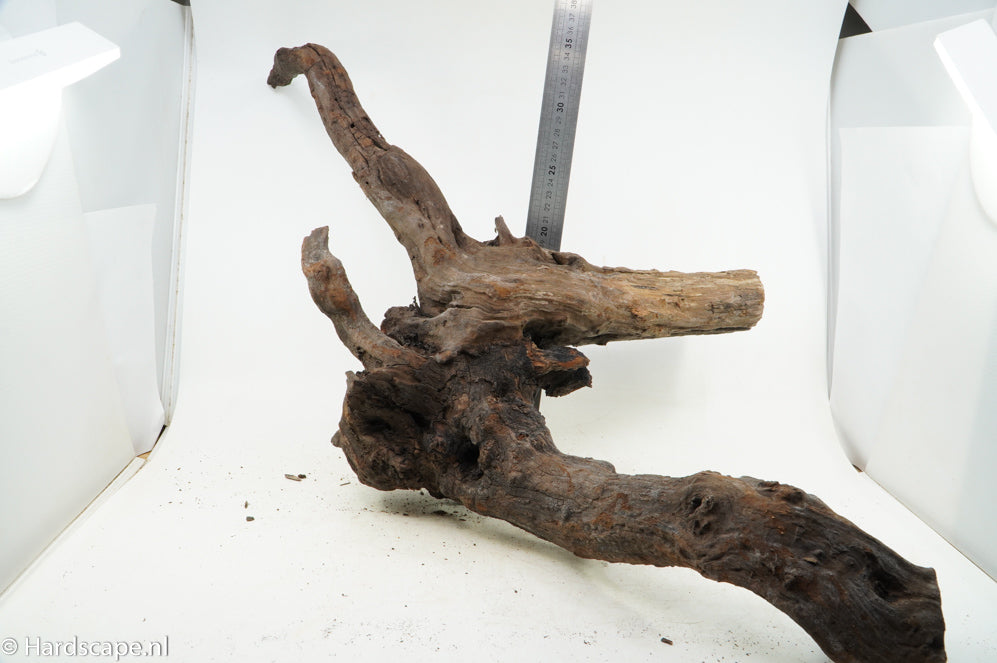 Driftwood XL120 - Hardscape.nl