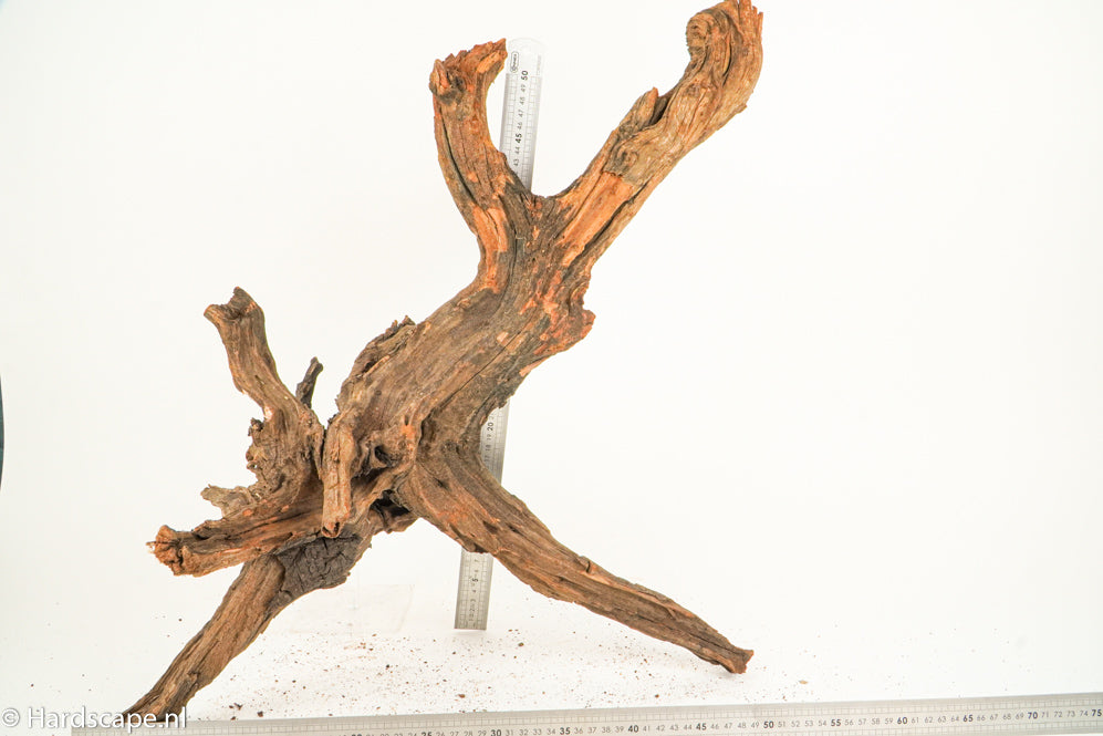 Driftwood XL122 - Hardscape.nl