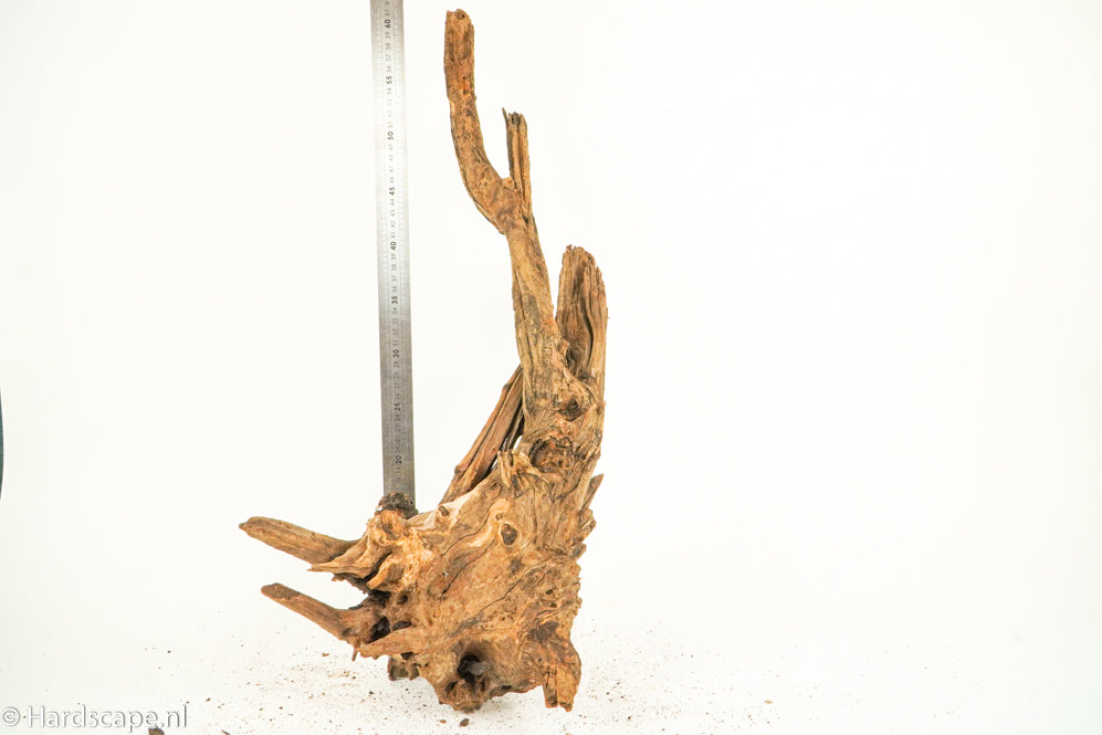 Driftwood XL123 - Hardscape.nl
