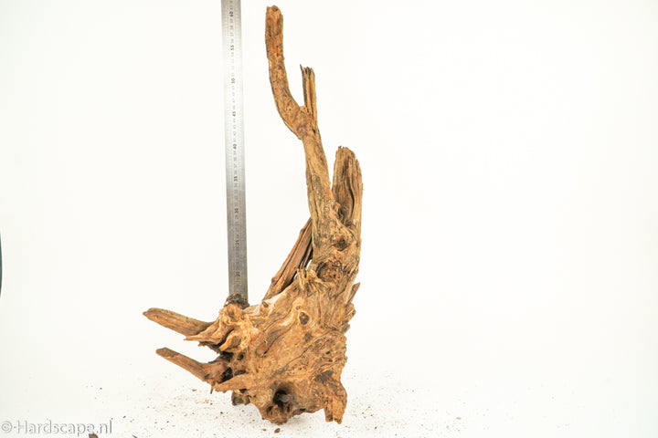 Driftwood XL123 - Hardscape.nl