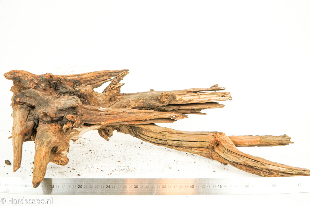 Driftwood XL123 - Hardscape.nl