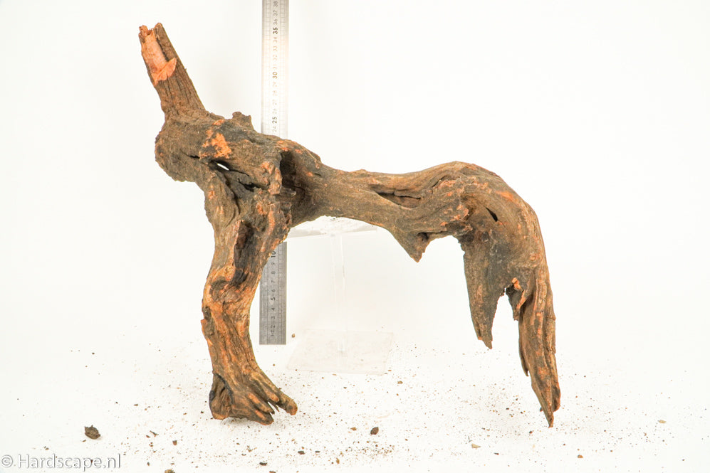 Driftwood XL124 - Hardscape.nl