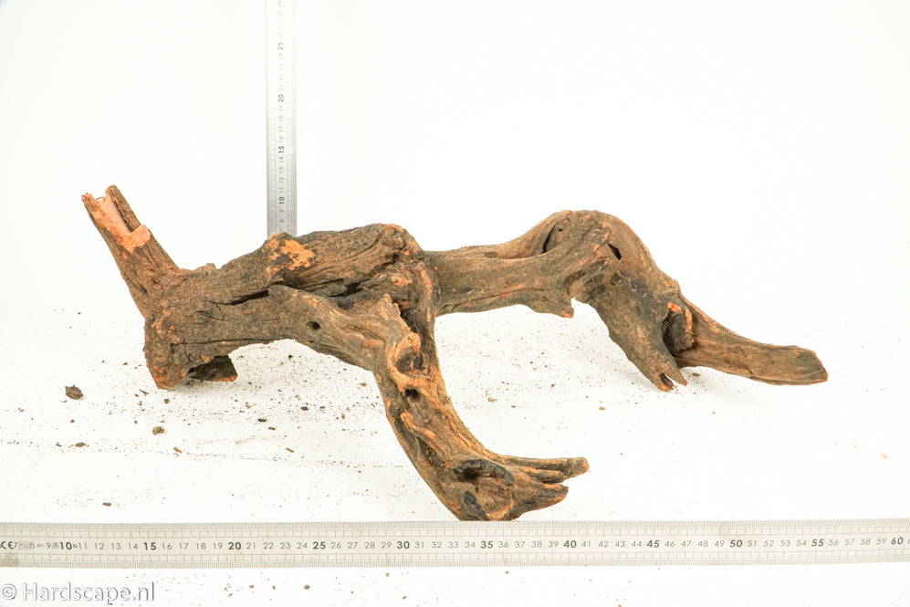 Driftwood XL124 - Hardscape.nl