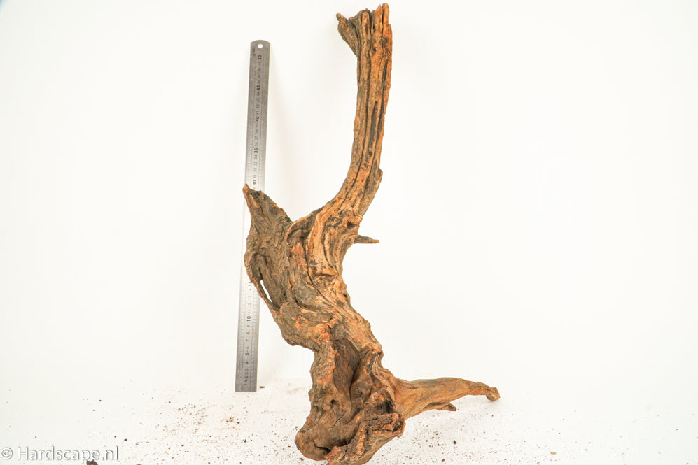 Driftwood XL126 - Hardscape.nl