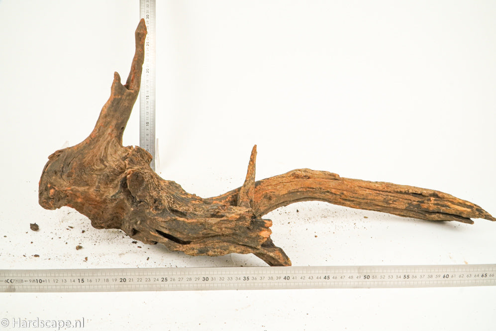 Driftwood XL126 - Hardscape.nl