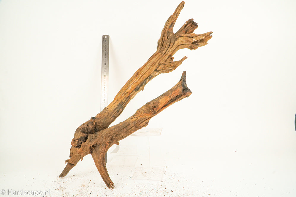 Driftwood XL128 - Hardscape.nl