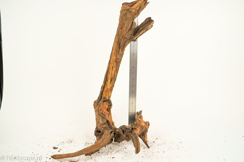 Driftwood XL131 - Hardscape.nl