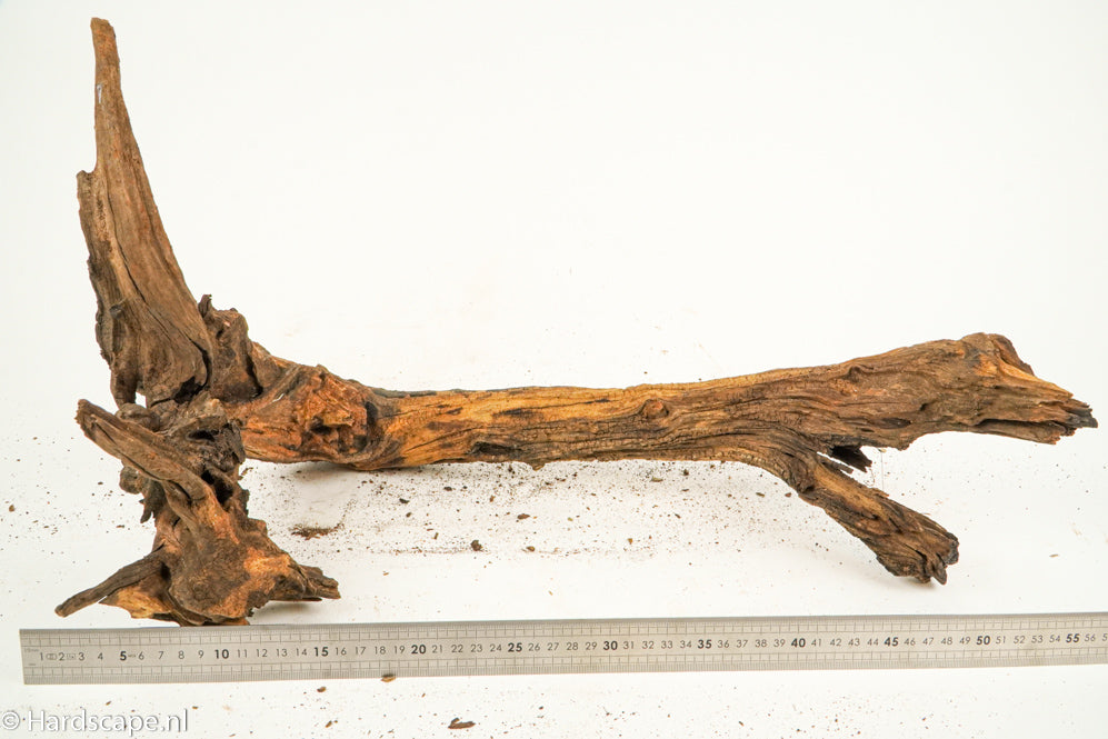 Driftwood XL131 - Hardscape.nl